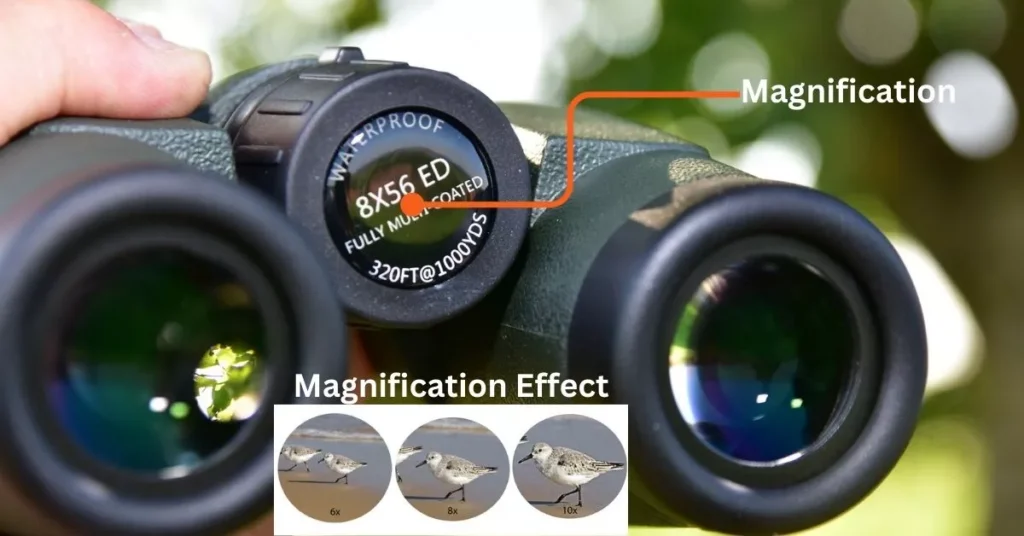 Magnification binocular