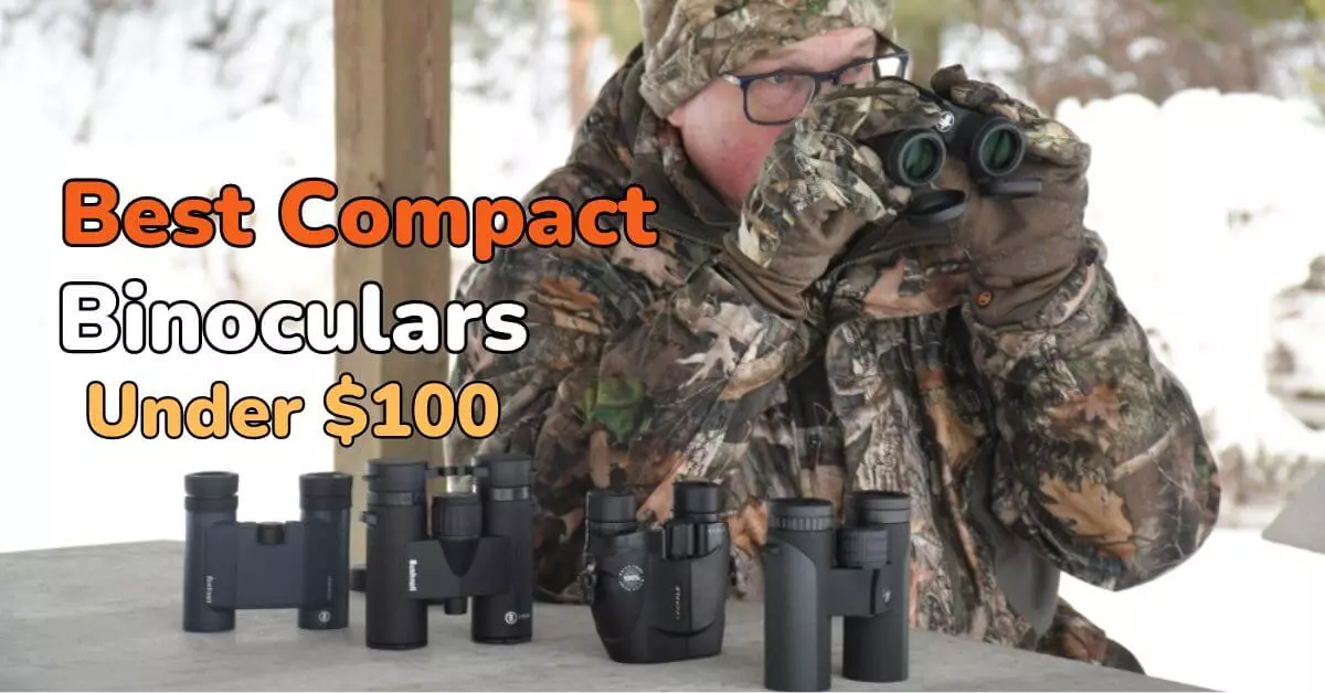best compact binoculars under $100
